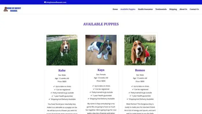 Screenshot of