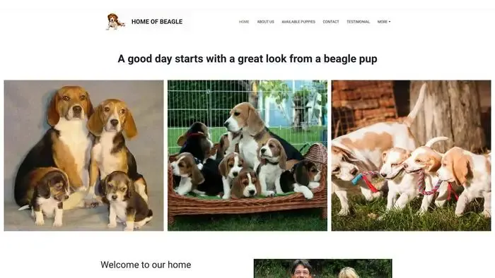 Screenshot of
