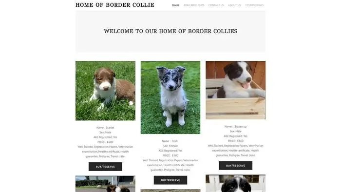 Screenshot of