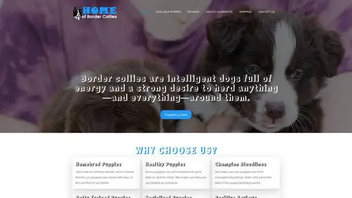 Screenshot of