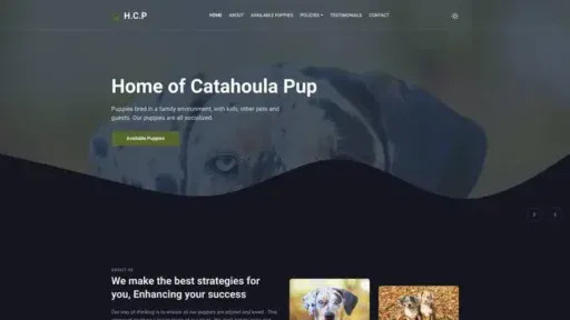 Screenshot of
