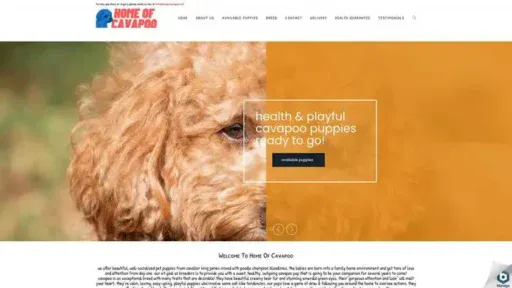 Screenshot of