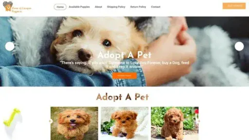 Screenshot of