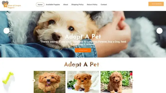 Screenshot of