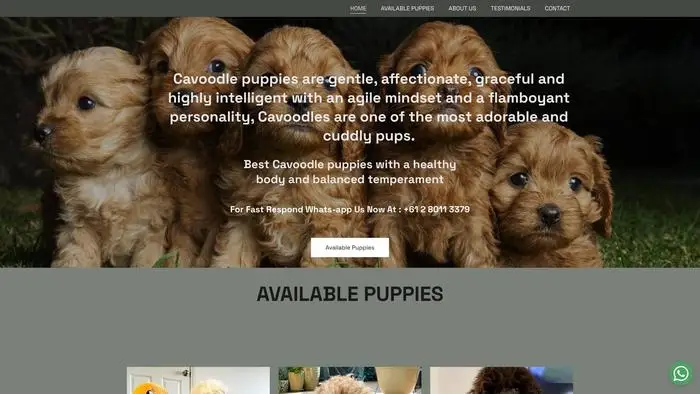 Screenshot of