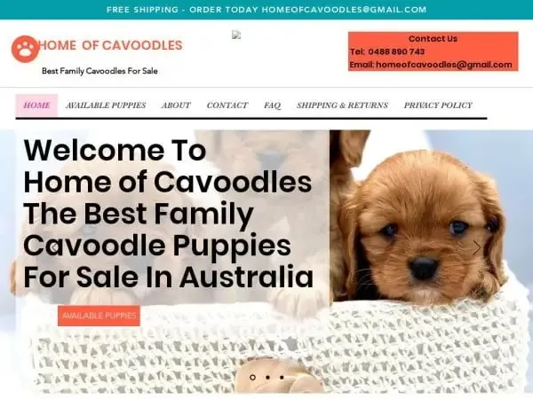 Homeofcavoodles