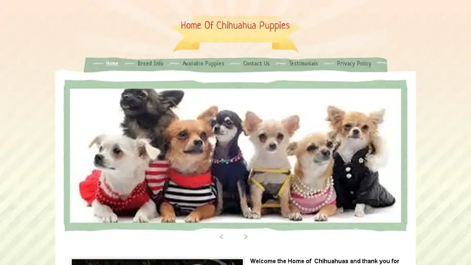 Screenshot of