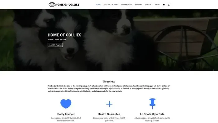 Screenshot of