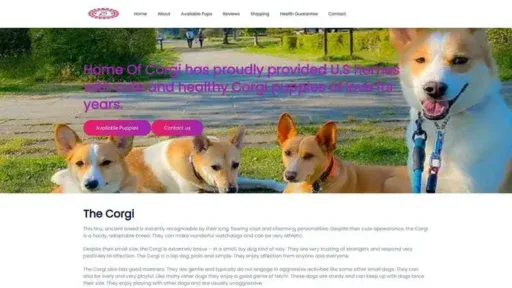 Screenshot of