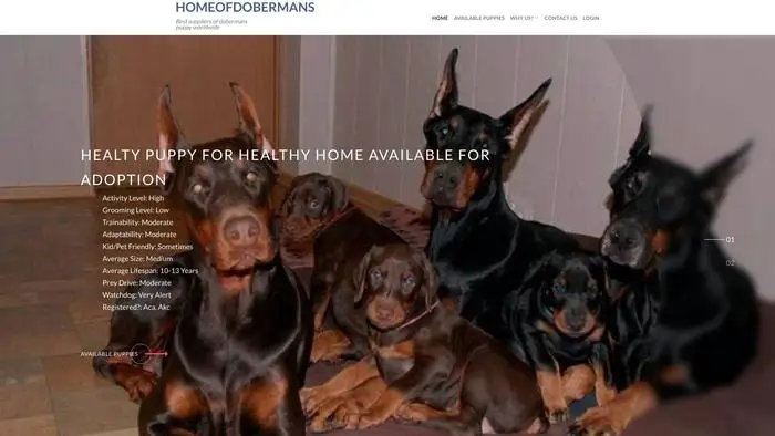 Screenshot of
