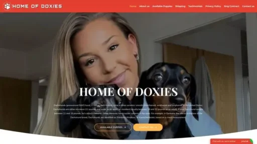 Screenshot of