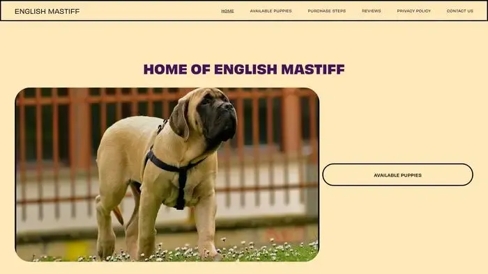 Screenshot of