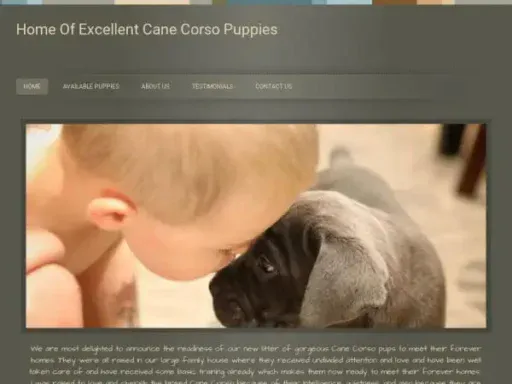 Screenshot of