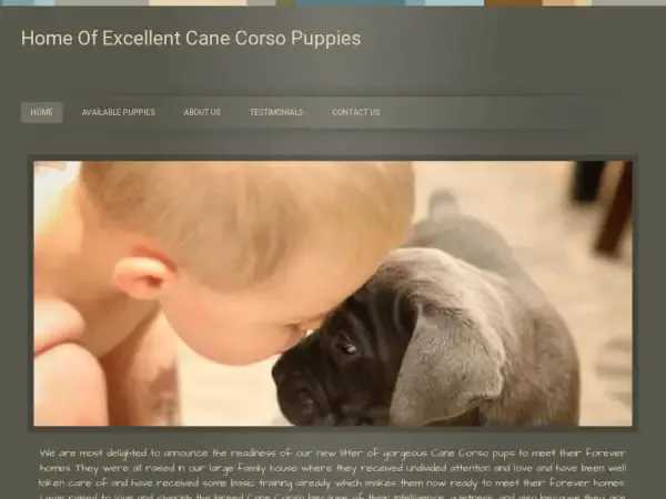 Screenshot of