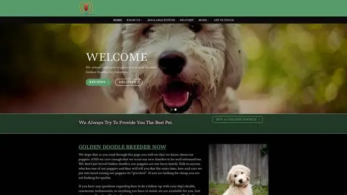 Screenshot of