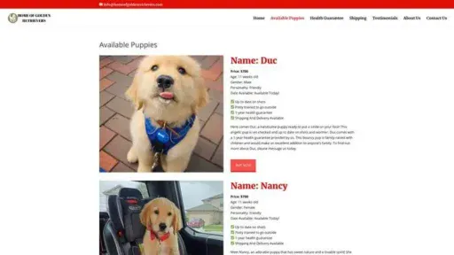 Screenshot of