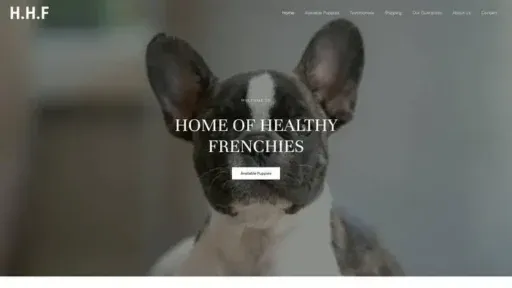 Screenshot of