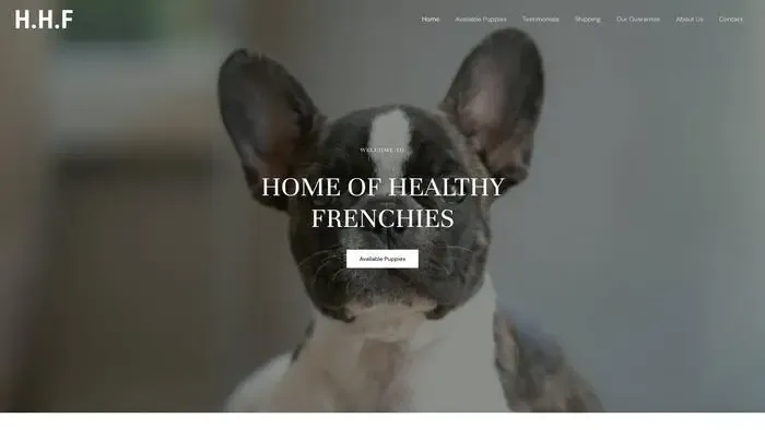 Screenshot of