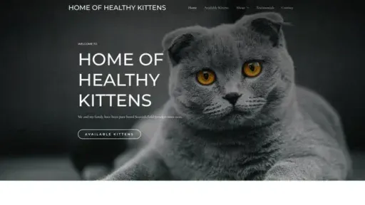 Screenshot of
