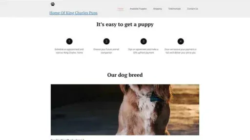 Screenshot of