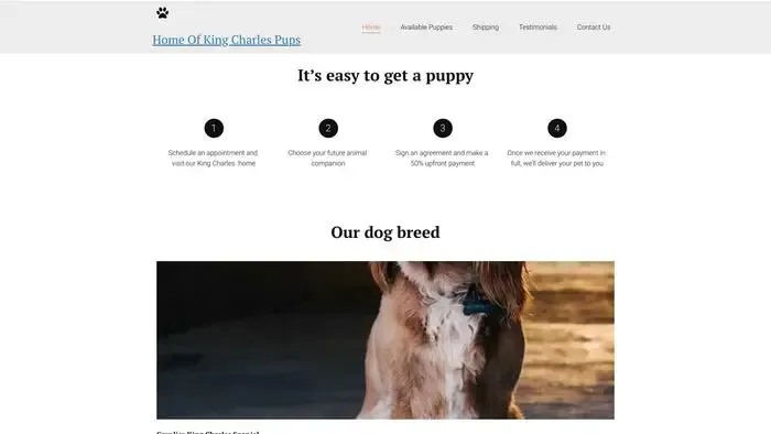Screenshot of