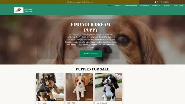 Screenshot of