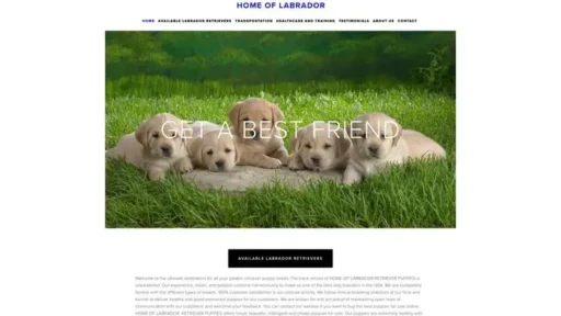 Screenshot of