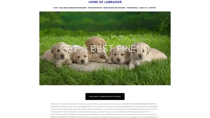 Screenshot of