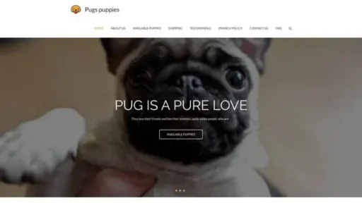 Screenshot of