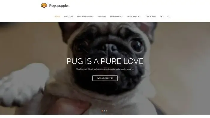 Screenshot of