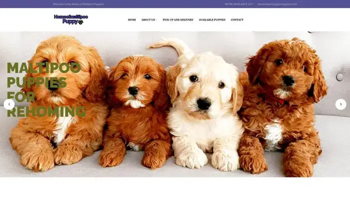 Screenshot of