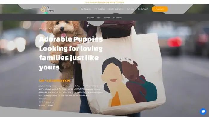 Screenshot of