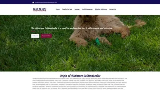 Screenshot of