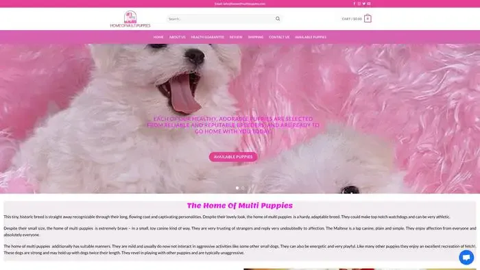 Screenshot of