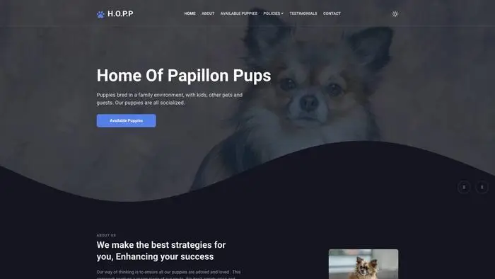 Screenshot of