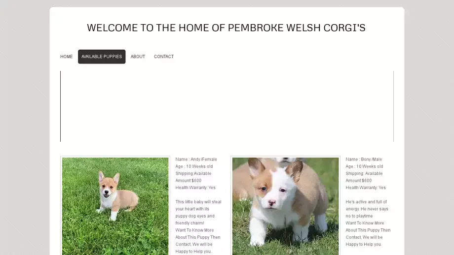 Screenshot of