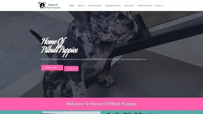Screenshot of