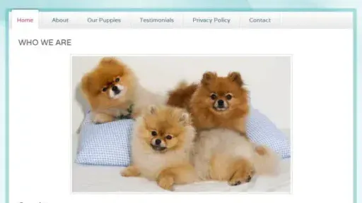 Screenshot of