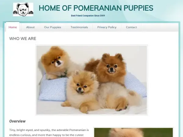 Screenshot of