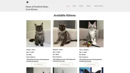 Screenshot of