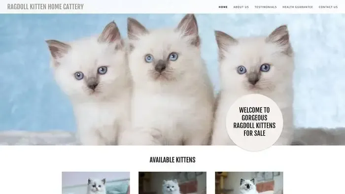 Screenshot of