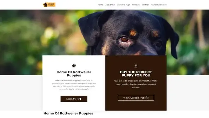 Screenshot of