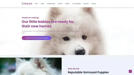 Screenshot of