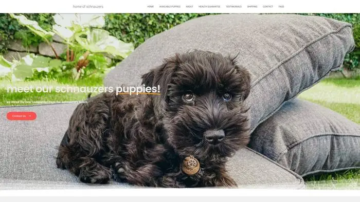 Screenshot of