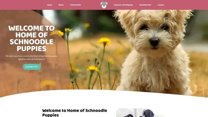 Screenshot of