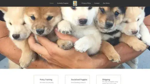 Screenshot of