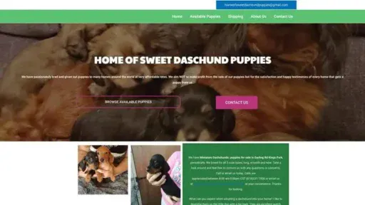 Screenshot of