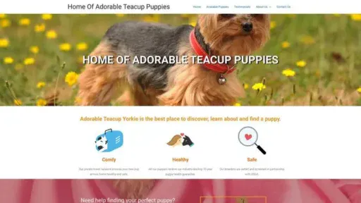 Screenshot of