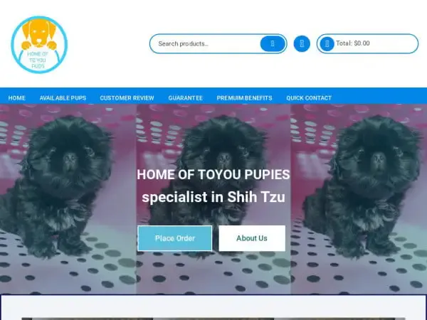 Screenshot of