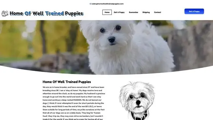 Screenshot of